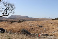 すぐ近くの展望台