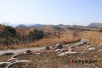 すぐ近くの展望台