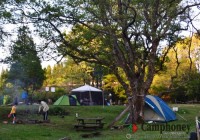 キャンプ場の画像