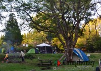 超広々区画サイトで他のグループを気にせずキャンプ【レンタルテント】