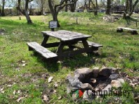 デイキャンプ（日帰り）