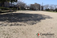 キャンプ場周辺