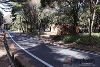 キャンプ場周辺