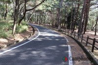 キャンプ場周辺