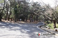 キャンプ場周辺