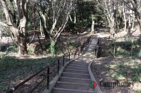 キャンプ場周辺