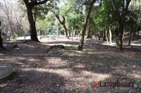 キャンプ場周辺