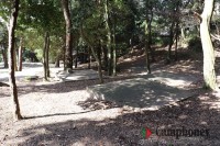 キャンプ場