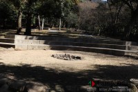 キャンプ場の画像