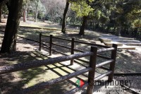 申込み必要＆無料でデイキャンプ（宿泊不可）