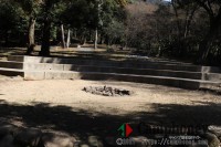 申込み必要＆無料でデイキャンプ（宿泊不可）