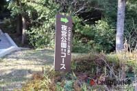 大駐車場横にキャンプ場入口