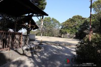 キャンプ場の画像