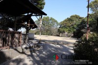 市街地から近い無料キャンプ