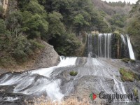 キャンプ場の画像