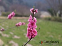 オーキャンプ場