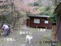 キャンプ場の画像