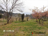 キャンプ場の画像