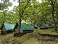 キャンプ場の画像