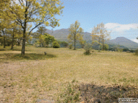 オートキャンプサイト