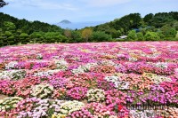 キャンプ場の画像