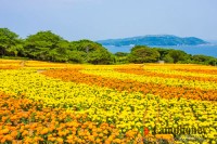 キャンプ場の画像