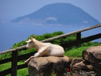 キャンプ場の画像