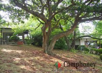 1戸建タイプのコテージ