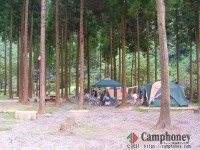 キャンプ場の画像