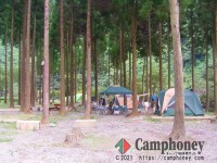 【オートサイト】