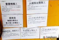 キャンプ場の場内画像thum