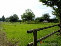 キャンプ場の画像