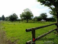 【オートサイト】大人一人1,000円、子供（4歳～小学生）500円、3歳以下は無料