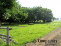 【オートサイト】大人一人1,000円、子供（4歳～小学生）500円、3歳以下は無料