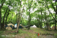 キャンプ場の画像