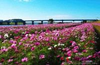 キャンプ場の画像