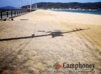 絶景の砂浜を楽しむ♪【無料キャンプ場】【予約申込不要】【ペット同伴可】