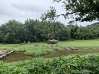 キャンプ場の画像