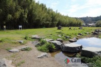 キャンプ場の画像