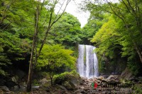 キャンプ場の画像