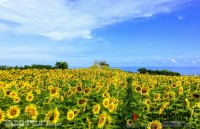 キャンプ場の画像