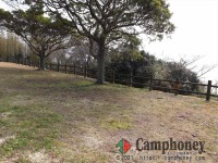 【デイキャンプ】1区画500円、乗入れ不可　※1区画は小さめ