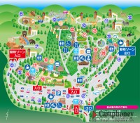 キャンプ場の画像