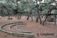 キャンプ場エリア