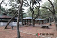 キャンプ場エリア