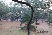 キャンプ場エリア