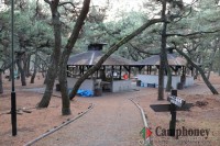 キャンプ場エリア