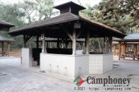 テント設営による宿泊キャンプ　※利用条件あり