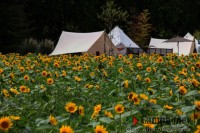 キャンプ場の画像