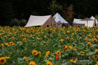 花畑に暮らす。大自然のゆらぎを24時間体感。